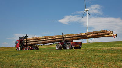 Ein Holztransport-LKW mit langen Baumstämmen auf einem Anhänger steht auf einer grünen Wiese, im Hintergrund ein Windrad unter blauem Himmel.