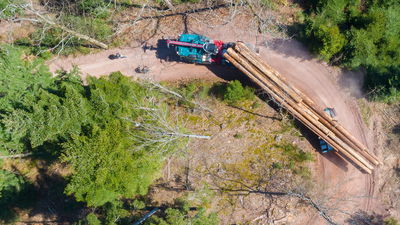 Luftaufnahme eines Langholzzugs, der große Baumstämme auf einer unbefestigten Straße durch einen dichten Wald transportiert.